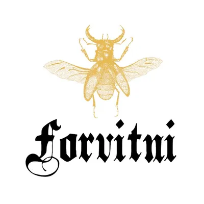 Forvitni