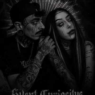 Silent Curiositys 