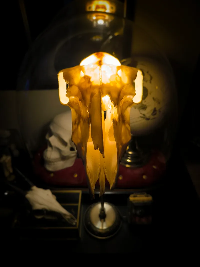 Lampe crâne de mouton, décoration gothique faite main (2)