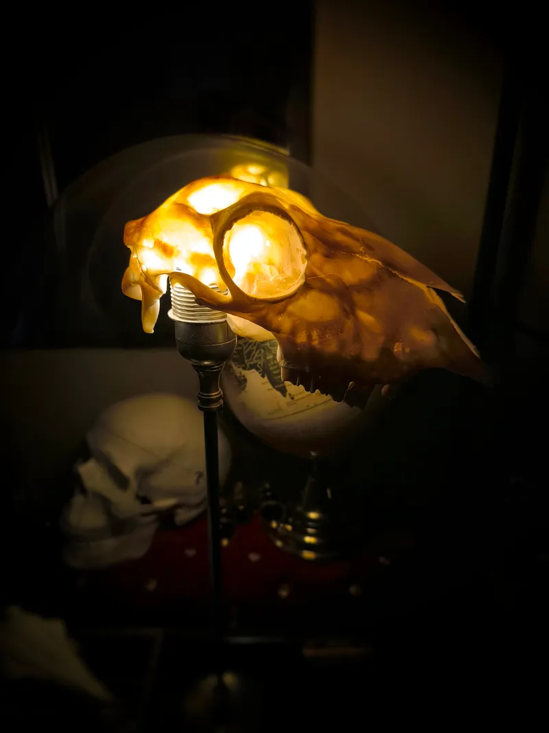 Lampe crâne de mouton, décoration gothique faite main