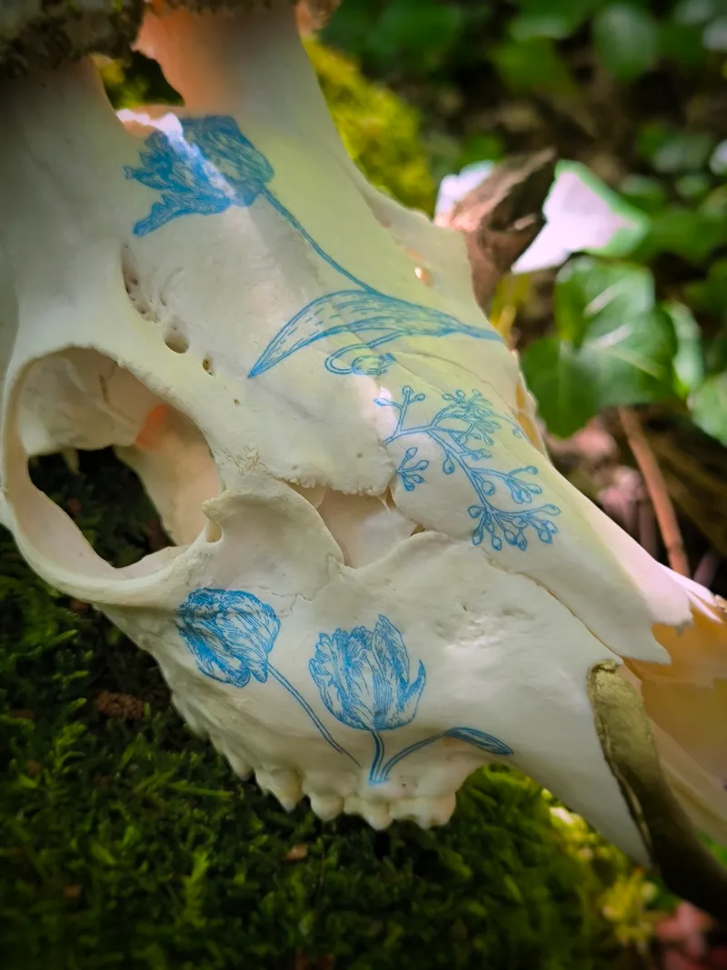 Crâne de chevreuil : porcelaine et or, handmade gothic home decor (2)
