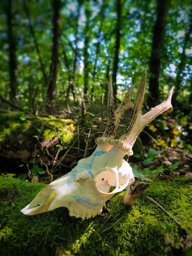 Crâne de chevreuil : porcelaine et or, handmade gothic home decor