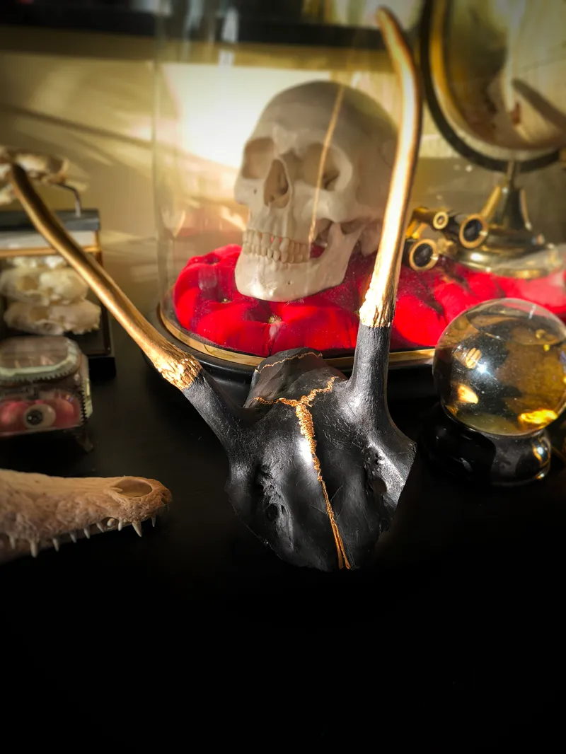 Crâne de daguet noir et or, handmade gothic home decor