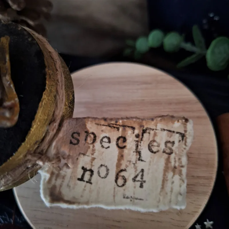 Fée momifiée, handmade gothic home decor (3)