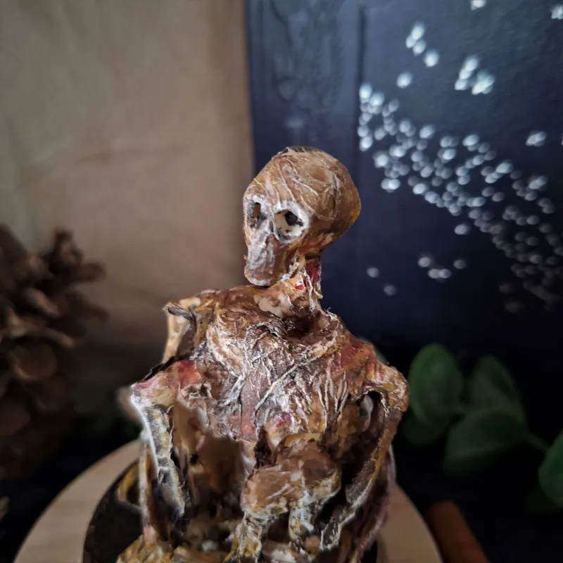 Fée momifiée, handmade gothic home decor (2)
