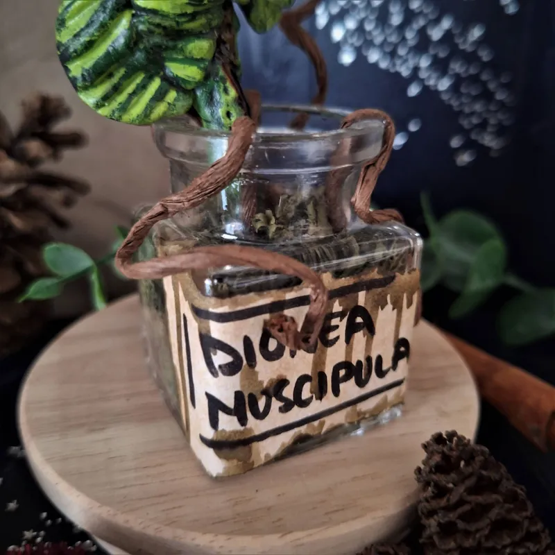 Fragment de Audrey II, handmade gothic home decor (3)