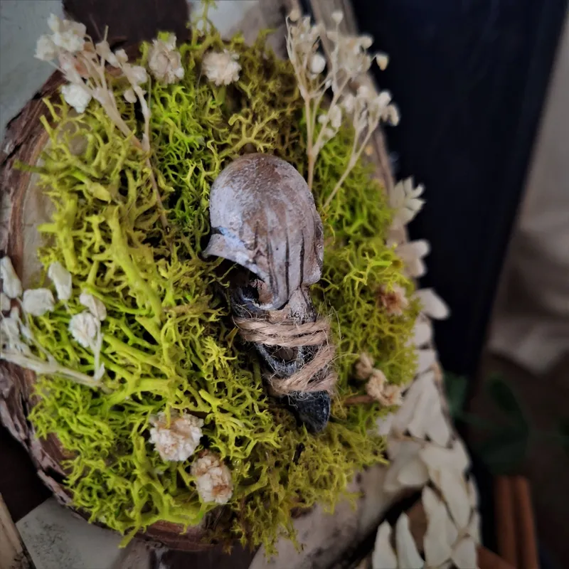 Vestige de corvidé, handmade gothic home decor (2)