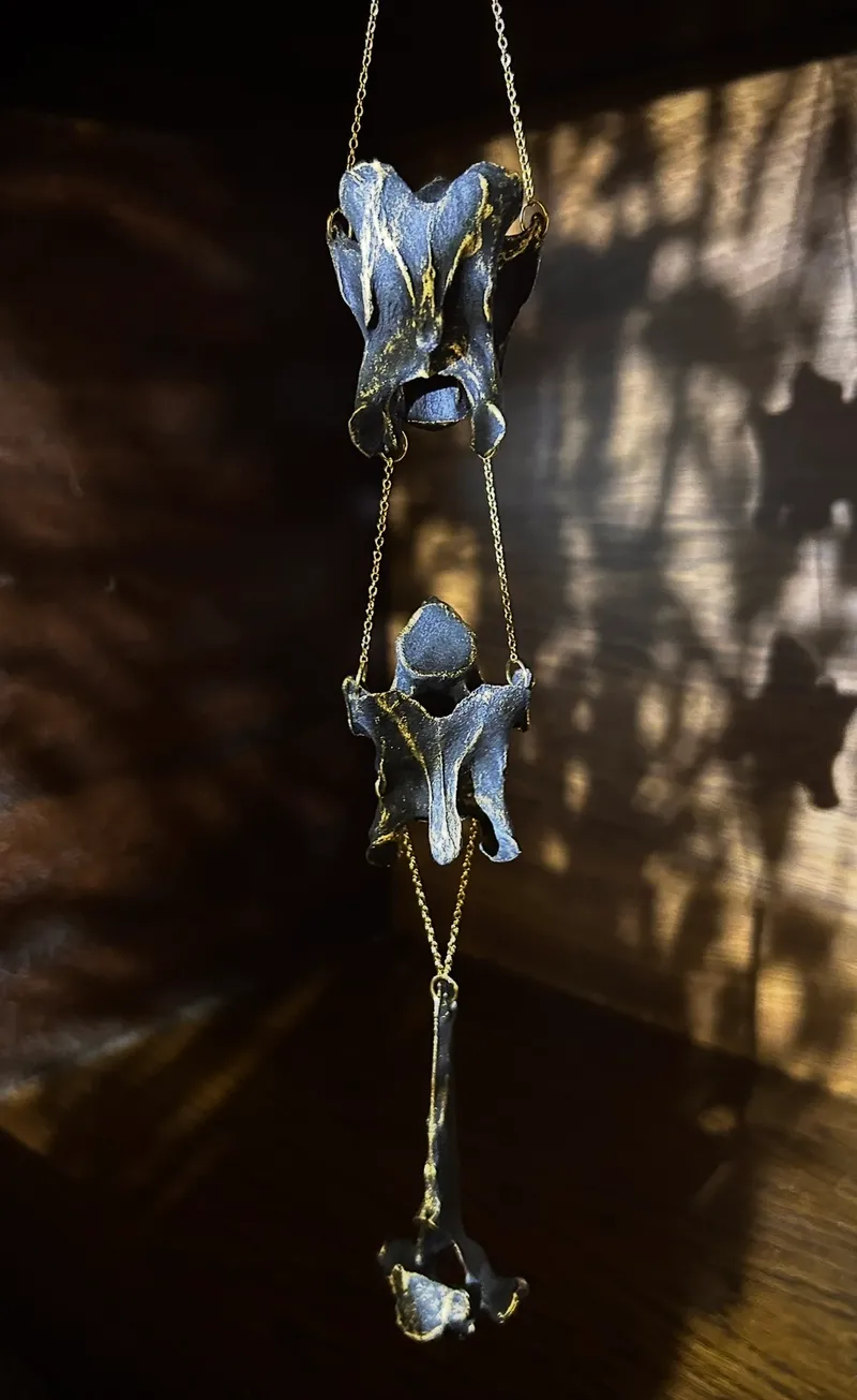 🖤 CAPREOLUS SUSPENSUS 🖤