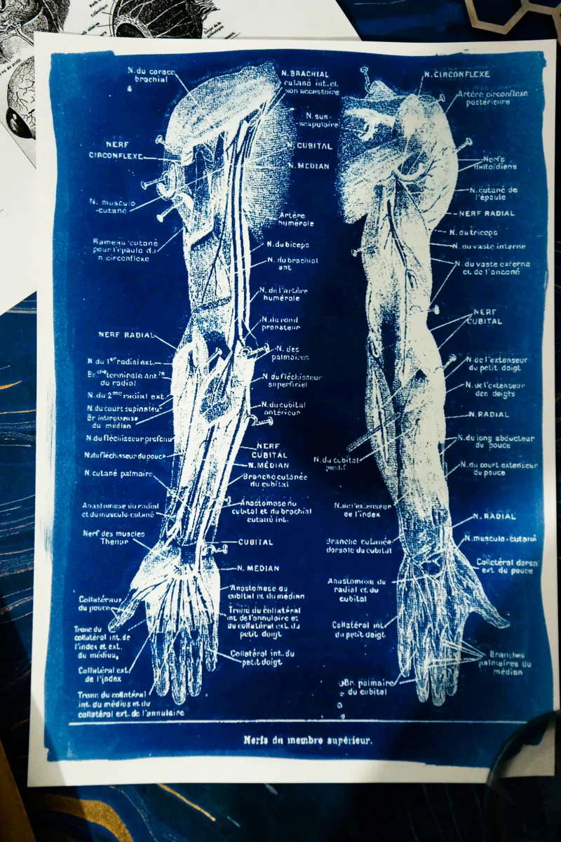 Cyanatomy - Bras A4, art gothique original (2)