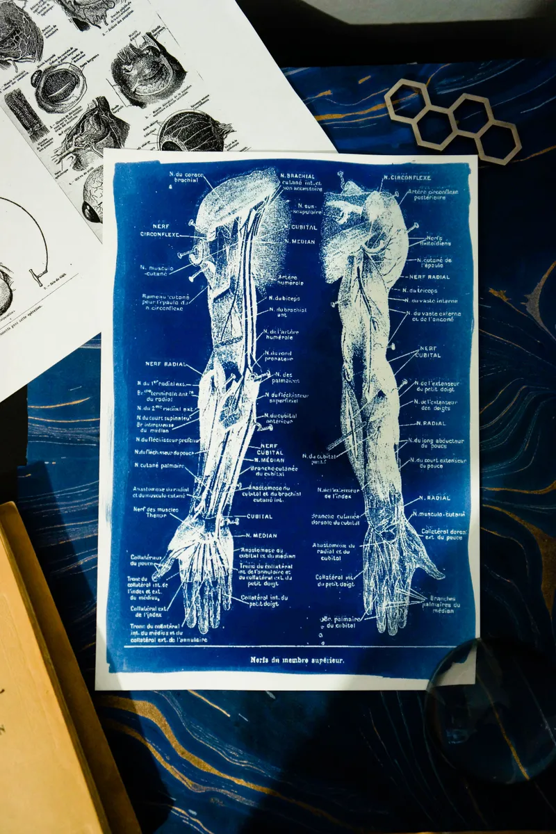 Cyanatomy - Bras A4, art gothique original