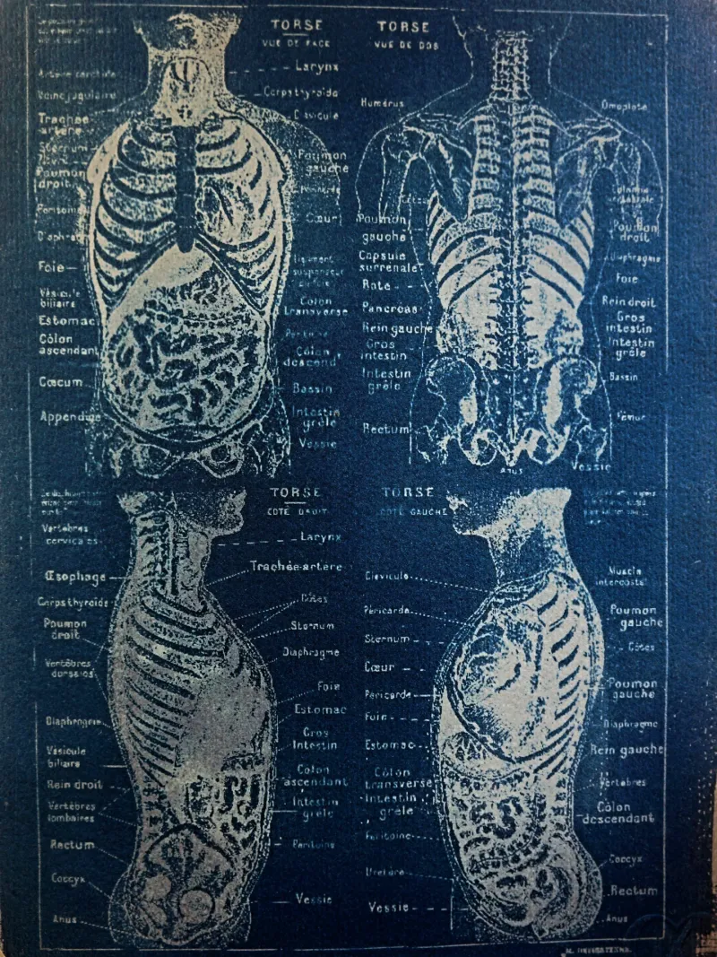 Cyanatomy - Torse A4, original gothic art (3)