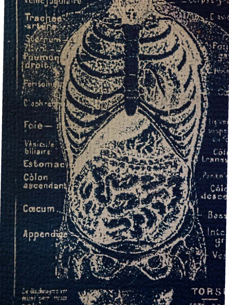 Cyanatomy - Torse A4, original gothic art (2)