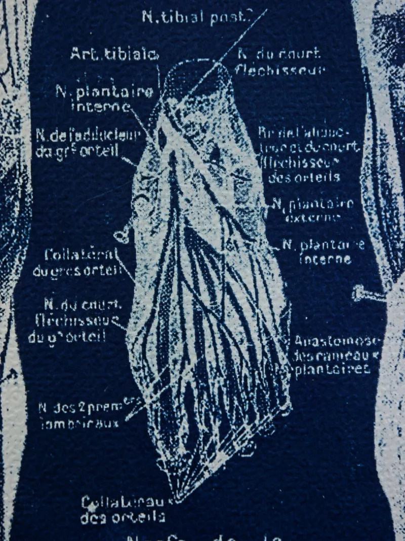 Cyanatomy - Jambe A4, original gothic art (3)