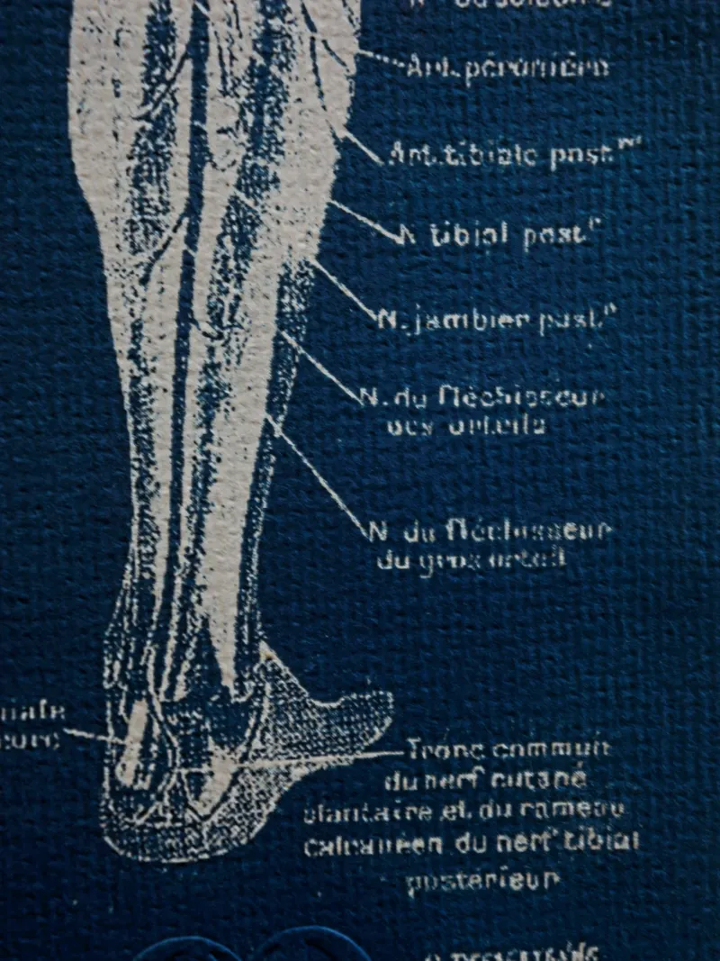 Cyanatomy - Jambe A4, original gothic art (2)