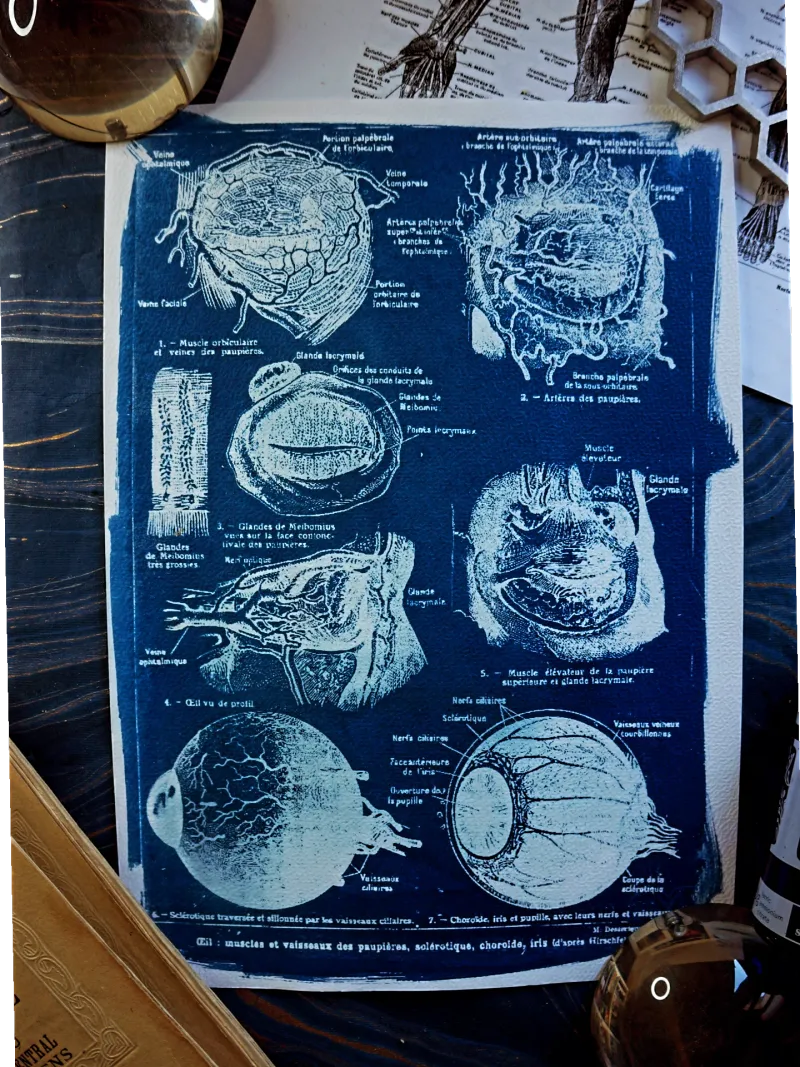Cyanatomy - Oeil A4, original gothic art
