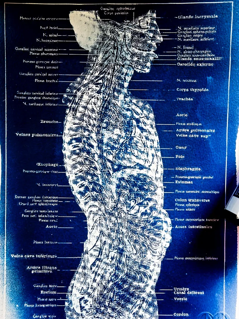 Cyanatomy - Cerveau A4, original gothic art (3)