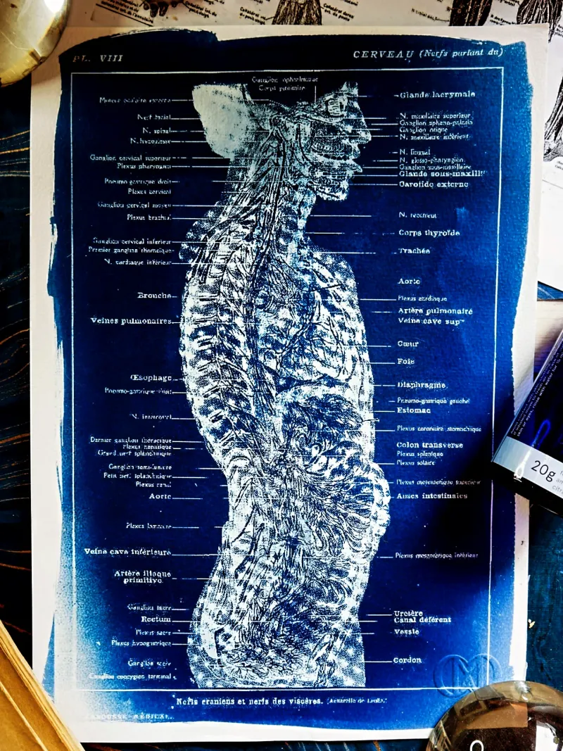 Cyanatomy - Cerveau A4, original gothic art