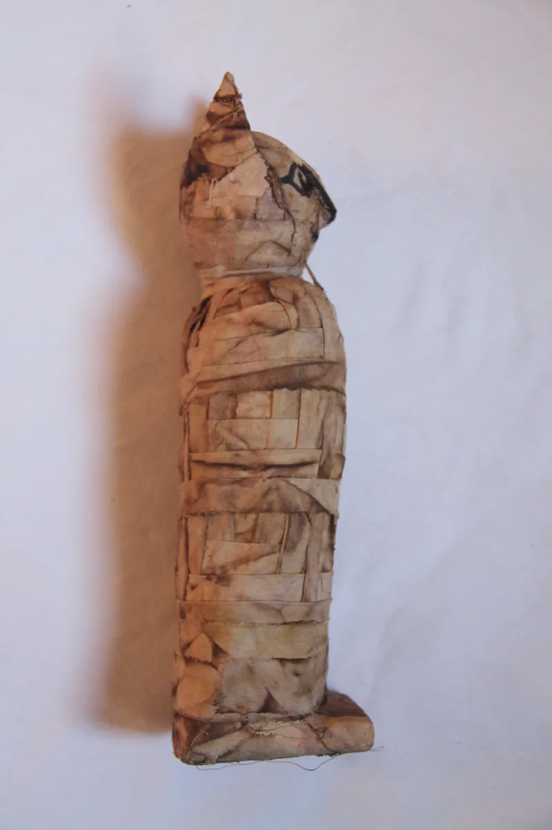 Momie de chat égyptienne, fausse taxidermie, reproduction histoire, handmade gothic home decor (2)