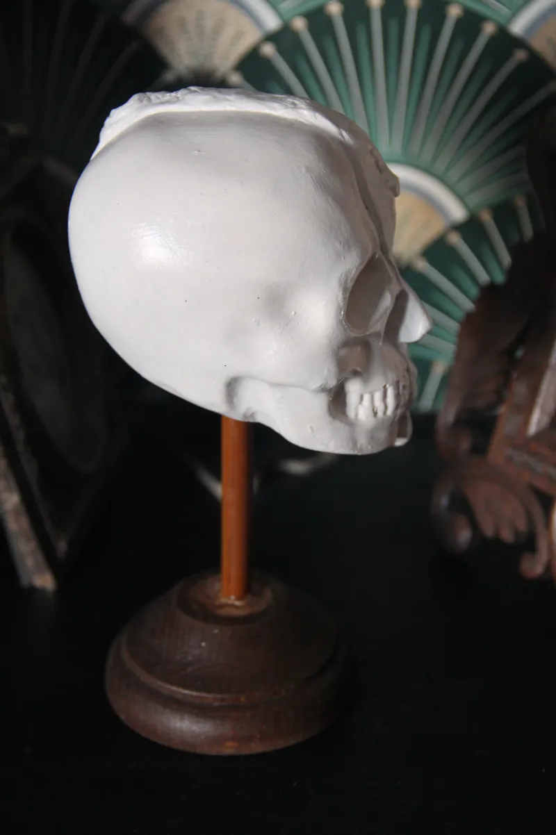 Sculpture demi visage et crane, décoration gothique pour cabinet de curiosité, décoration gothique faite main (2)
