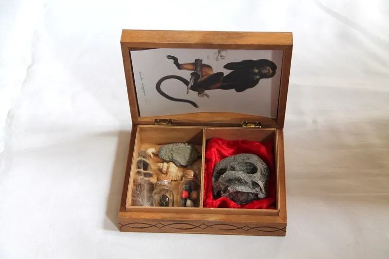 Boite en bois gravé contenant des curiosités, petit coffret collection, décoration gothique faite main (2)