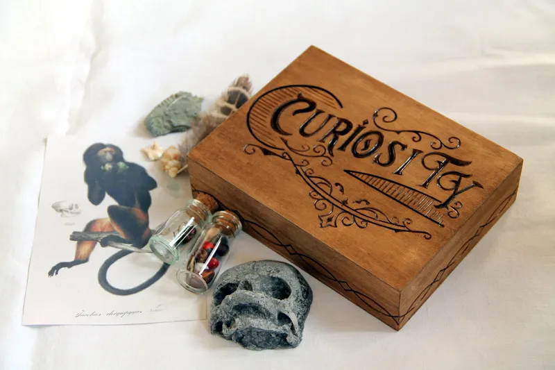 Boite en bois gravé contenant des curiosités, petit coffret collection, décoration gothique faite main