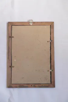 cadre vintage avec véritable toile d'araignée préservée, décoration pour cabinet de curiosité, décoration gothique faite main (3)