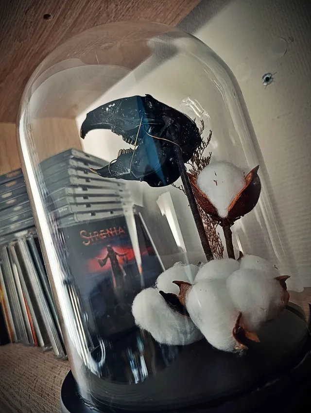 L'Éveil d'Oryla - Crâne de Lapin sous Dôme, handmade gothic home decor (2)
