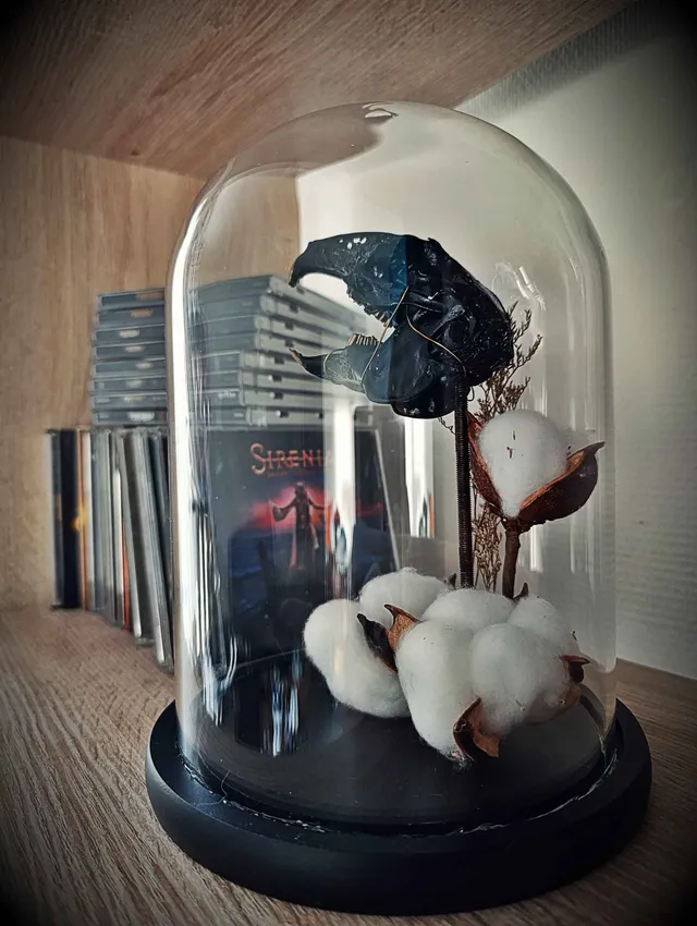 L'Éveil d'Oryla - Crâne de Lapin sous Dôme, handmade gothic home decor (3)