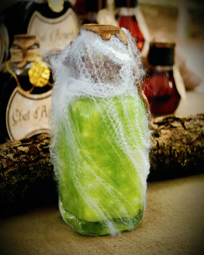 Potion décorative - Œufs d'Araignée, décoration gothique faite main (2)