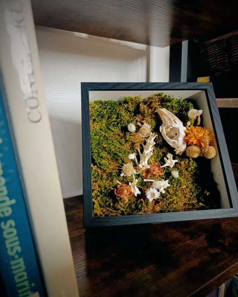 Le Repos de l'Innocent - Cadre décoratif avec Crâne et Vertèbres de Lapin, éléments végétaux naturels, décoration gothique faite main (2)