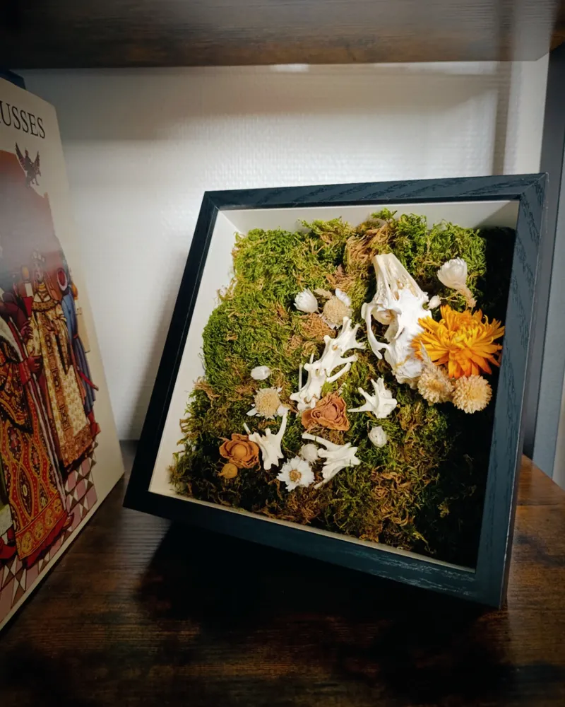 Le Repos de l'Innocent - Cadre décoratif avec Crâne et Vertèbres de Lapin, éléments végétaux naturels, décoration gothique faite main (3)