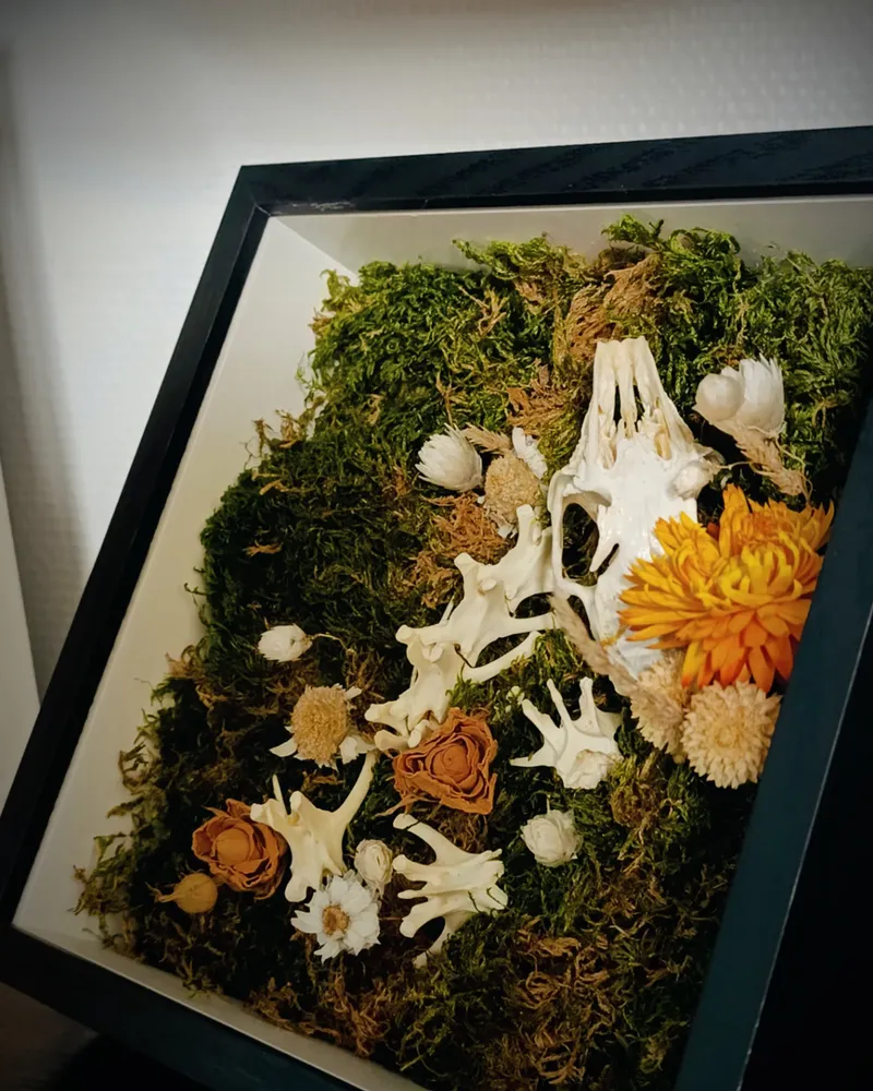 Le Repos de l'Innocent - Cadre décoratif avec Crâne et Vertèbres de Lapin, éléments végétaux naturels, décoration gothique faite main