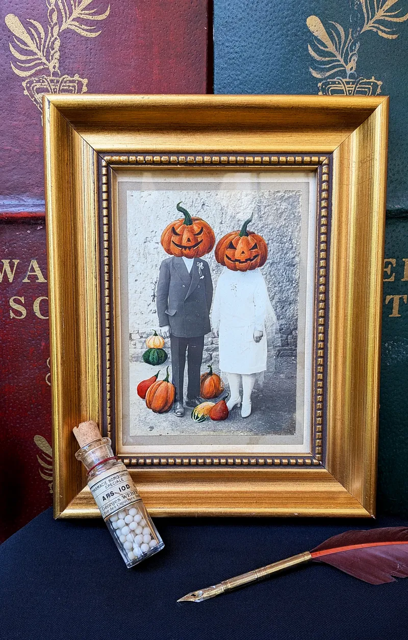 L'étrange mariage d'automne - cabinet de curiosités - surréaliste