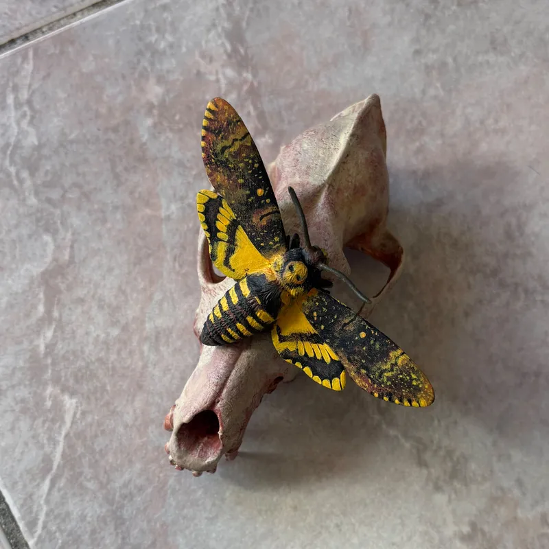 Statuette Acherontia atropos sur crâne de chien — 2