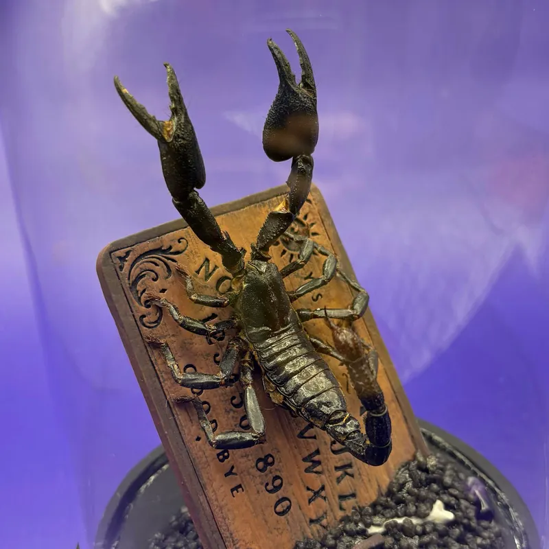 Entité - Véritable scorpion sur reproduction de table de ouija, décoration gothique faite main (3)