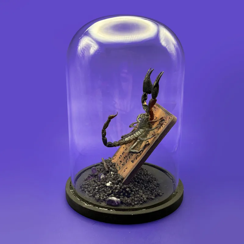 Entité - Véritable scorpion sur reproduction de table de ouija, décoration gothique faite main (2)