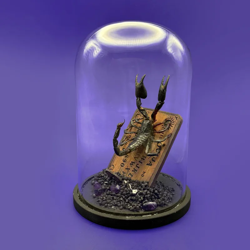 Entité - Véritable scorpion sur reproduction de table de ouija, décoration gothique faite main