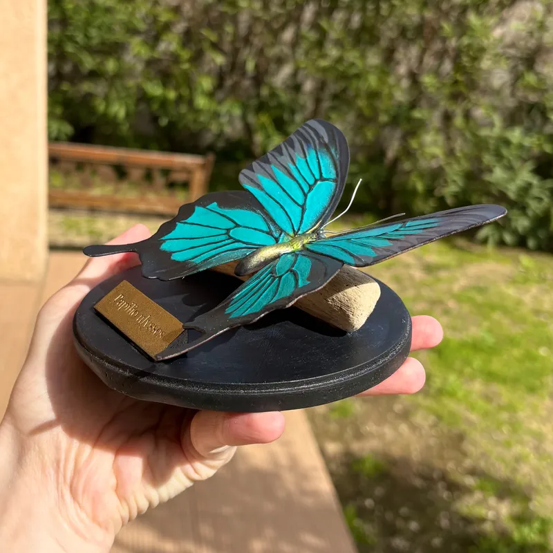 Figurine de Papilio ulysses — 2