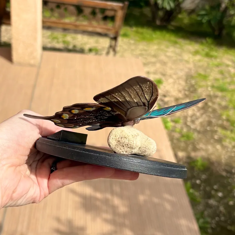 Figurine de Papilio ulysses — 3