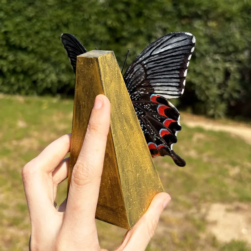 Statuette Papilio arcturus — 3