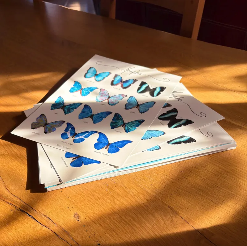 Impression Morpho A4 — 2