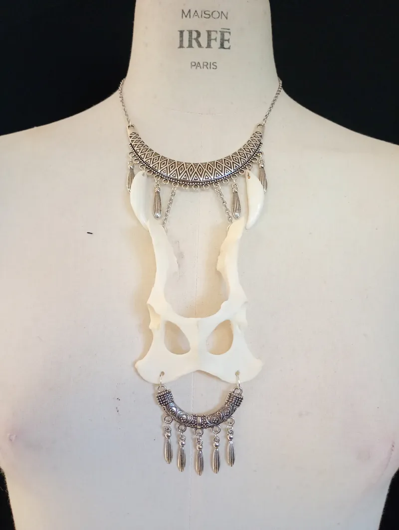Osseus Sanctum Collier os Taxidermie Tribal Chamanique Gothique | Bassin & Canines de Coyote | Bijou Osseux sorcière unique, handmade gothic jewelry