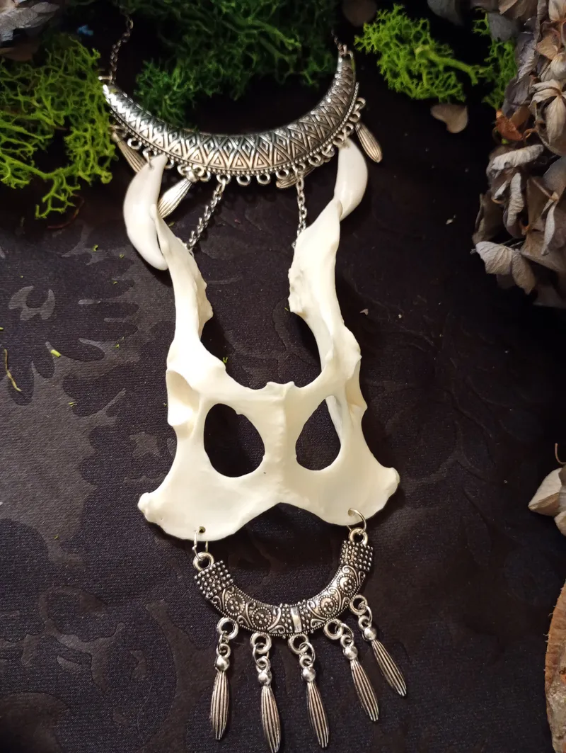 Osseus Sanctum Collier os Taxidermie Tribal Chamanique Gothique | Bassin & Canines de Coyote | Bijou Osseux sorcière unique — 3