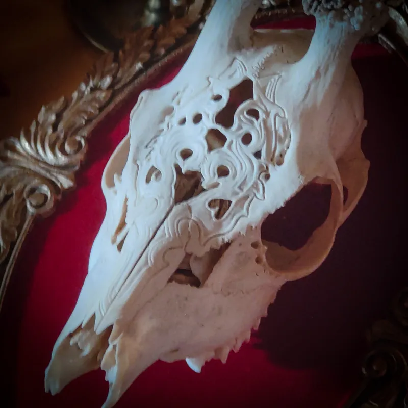 Crâne, handmade gothic home decor (2)
