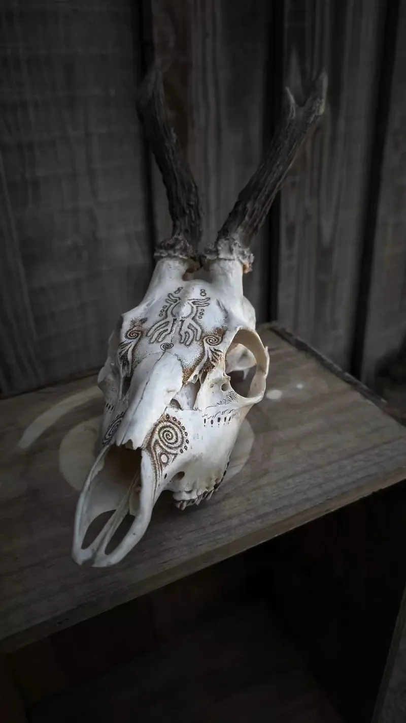 ⫷ Forest Spirit ⫸ — 2