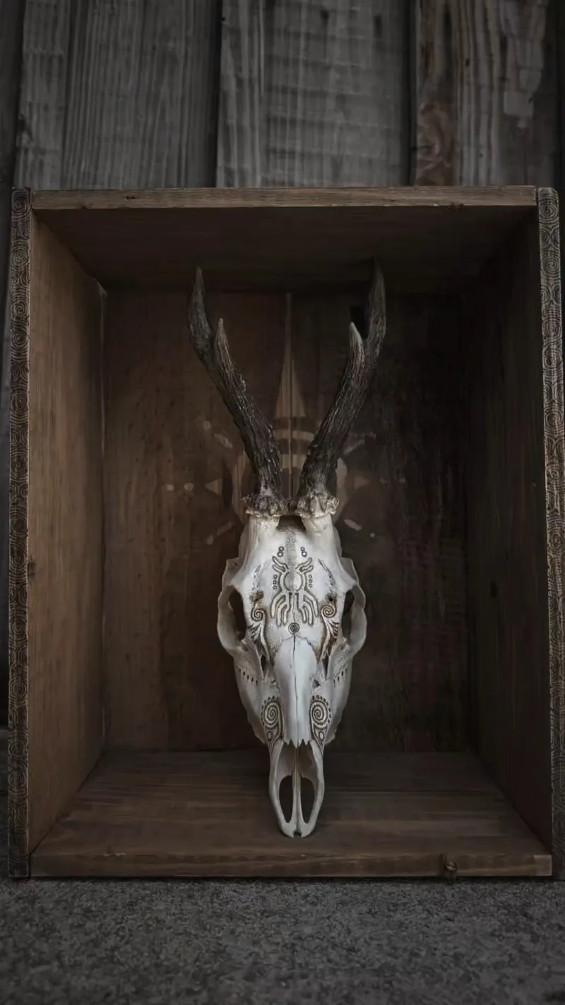 ⫷ Forest Spirit ⫸