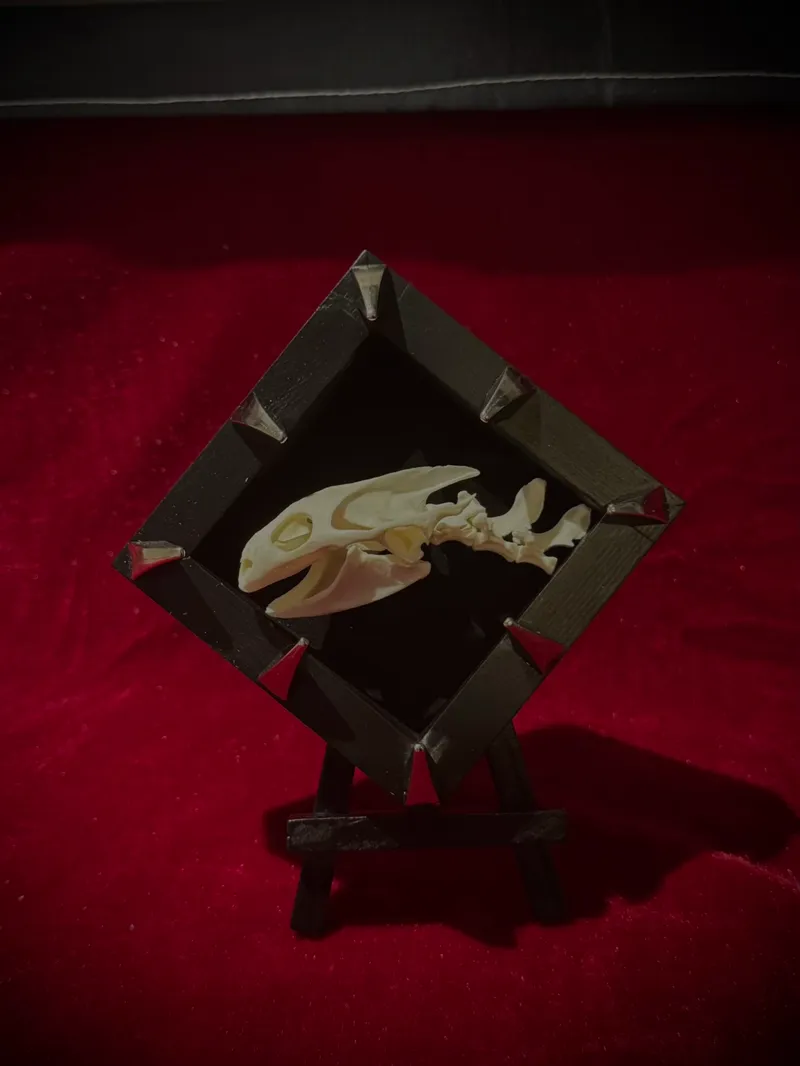 Cadre magnet chimère 