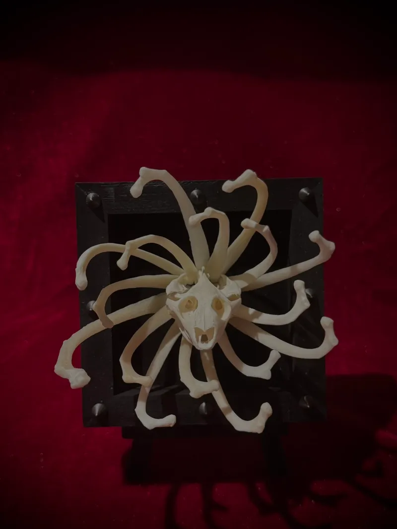Cadre magnet tortue de vie