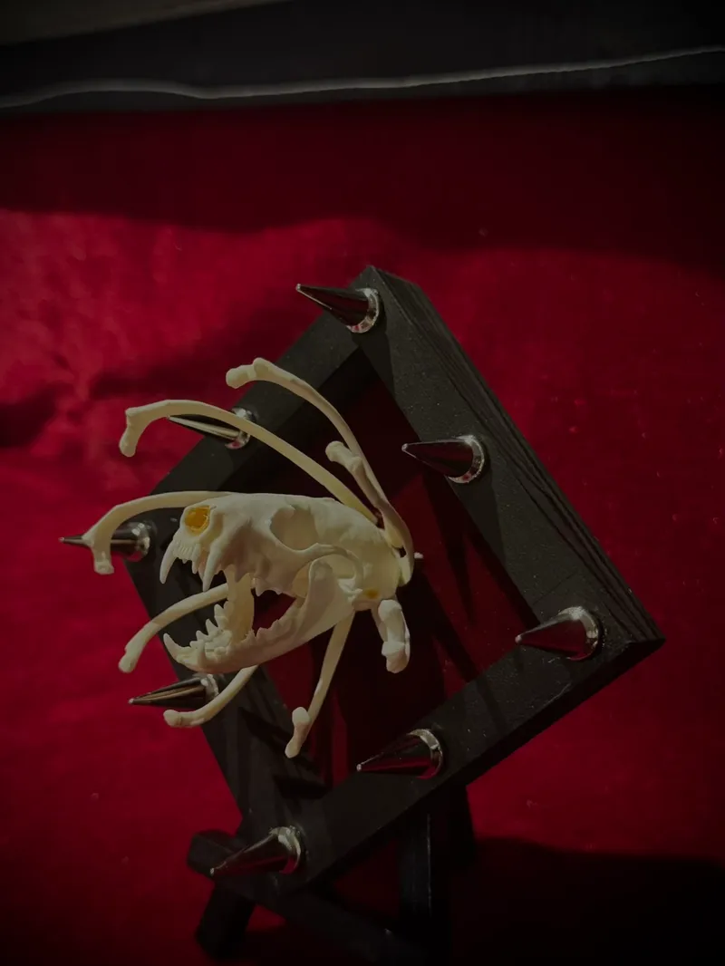 Cadre magnet rose de vison  — 2