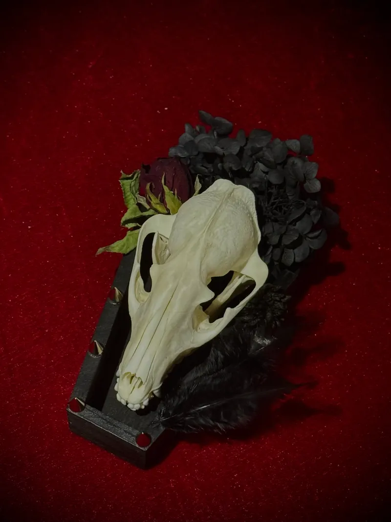 Graveyard rose — 2